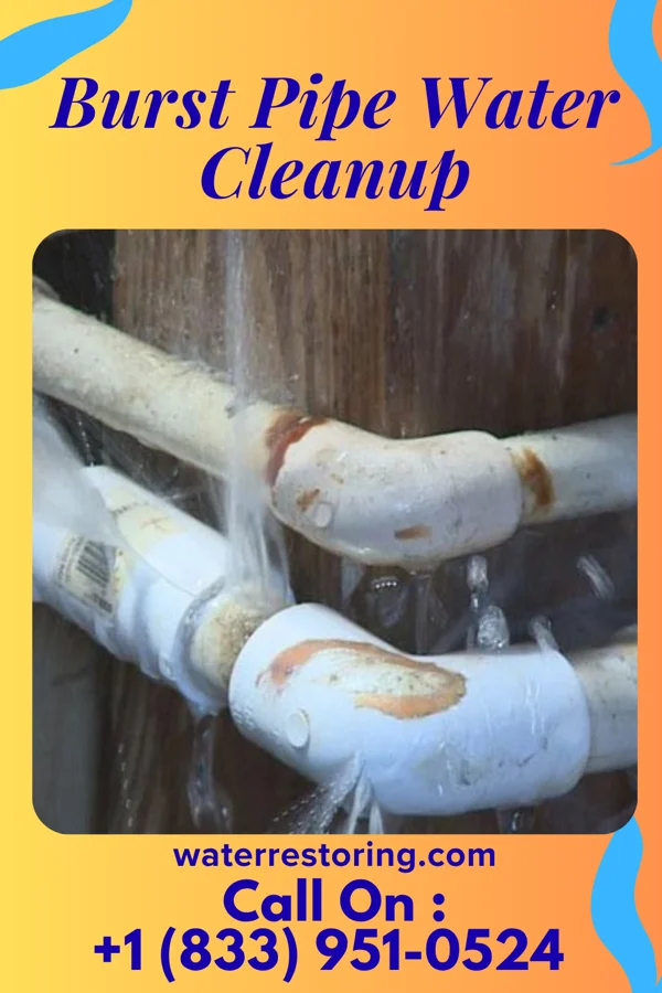Burst Pipe Water Cleanup in Grand Ridge, IL