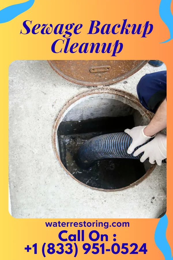 Sewage Backup Cleanup in Grand Ridge, IL