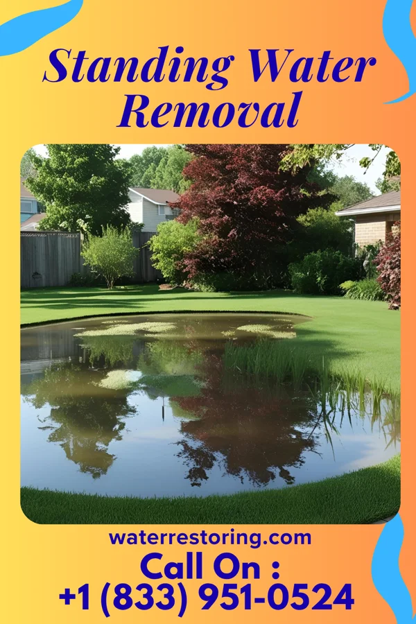 Standing Water Removal in Grand Ridge, IL
